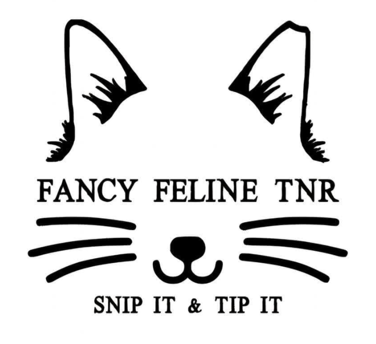 Fancy Feline TNR